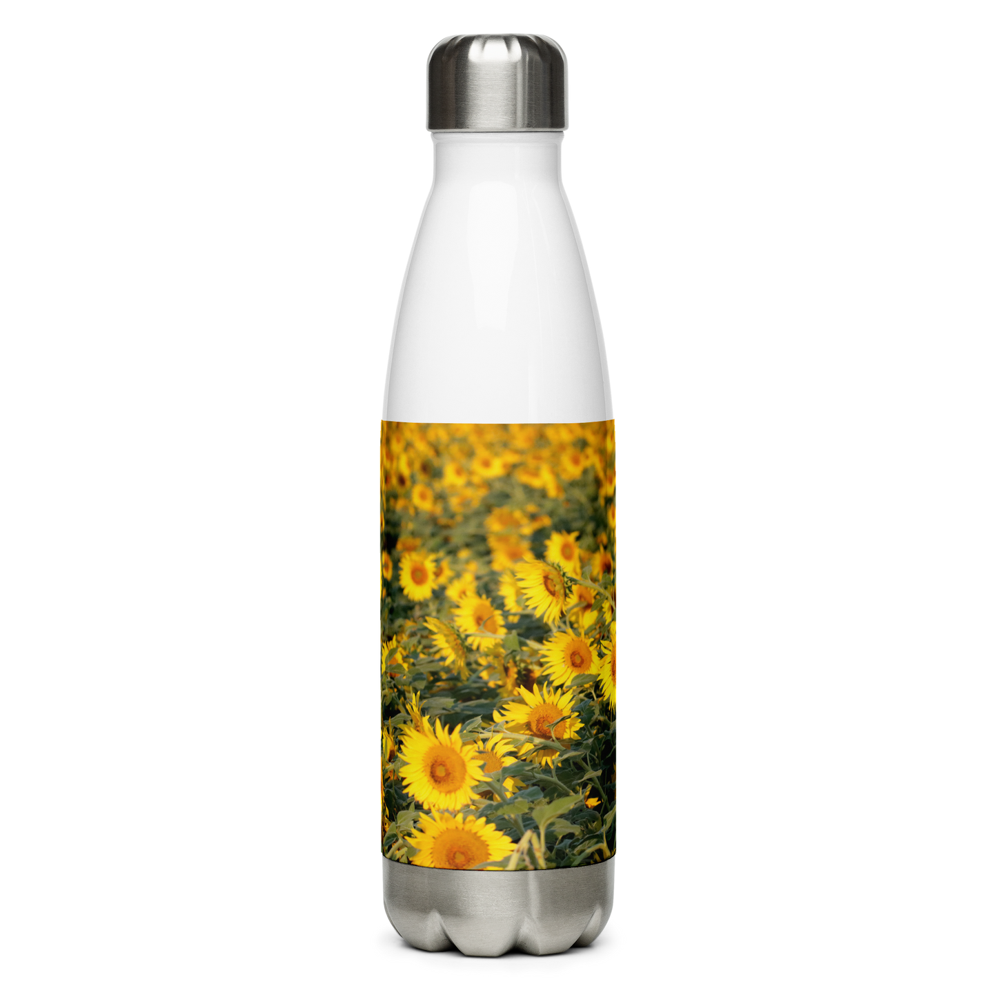 Stainless Steel Water Bottle