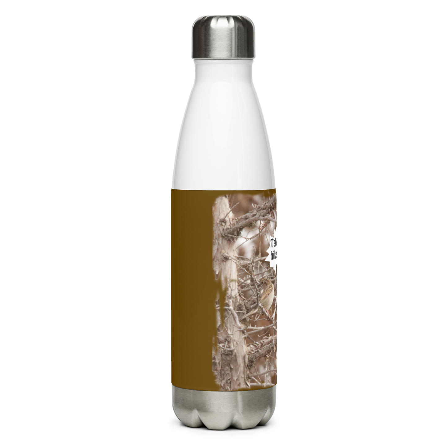 Stainless Steel Water Bottle