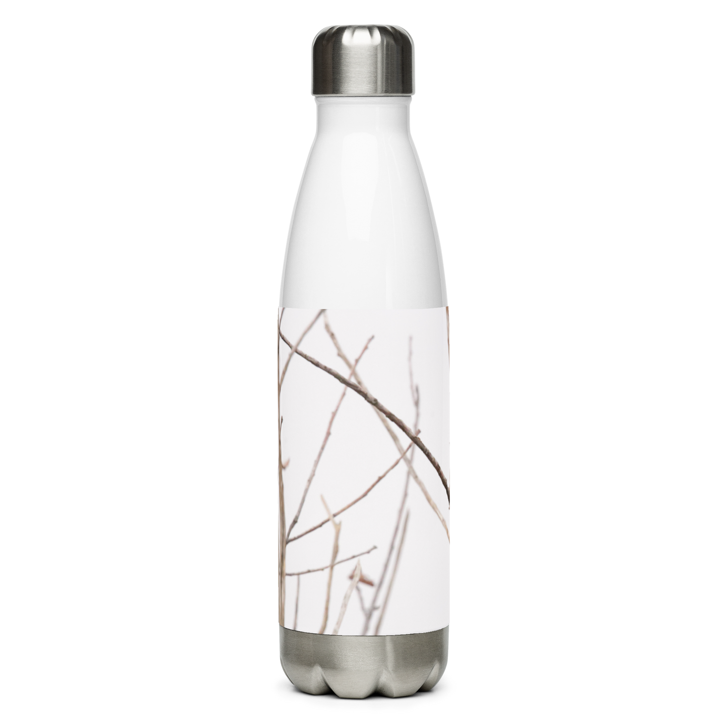 Stainless Steel Water Bottle